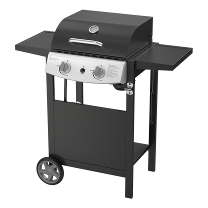 20,000 BTU 2-Burner Propane BBQ Grill, Stainless Steel with Side Shelves & Rolling Wheels