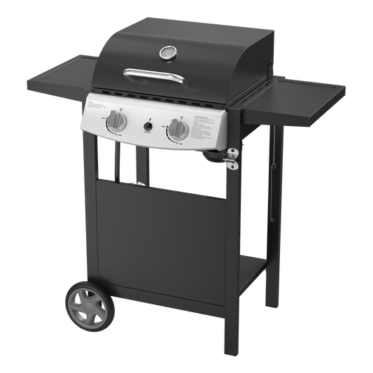 20,000 BTU 2-Burner Propane BBQ Grill, Stainless Steel with Side Shelves & Rolling Wheels