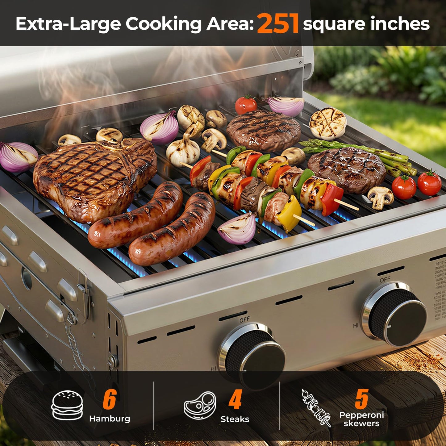 Stainless Steel 2-Burner Tabletop Propane Grill – 16,000 BTU with Foldable Legs