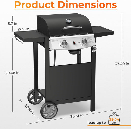 20,000 BTU 2-Burner Propane BBQ Grill, Stainless Steel with Side Shelves & Rolling Wheels
